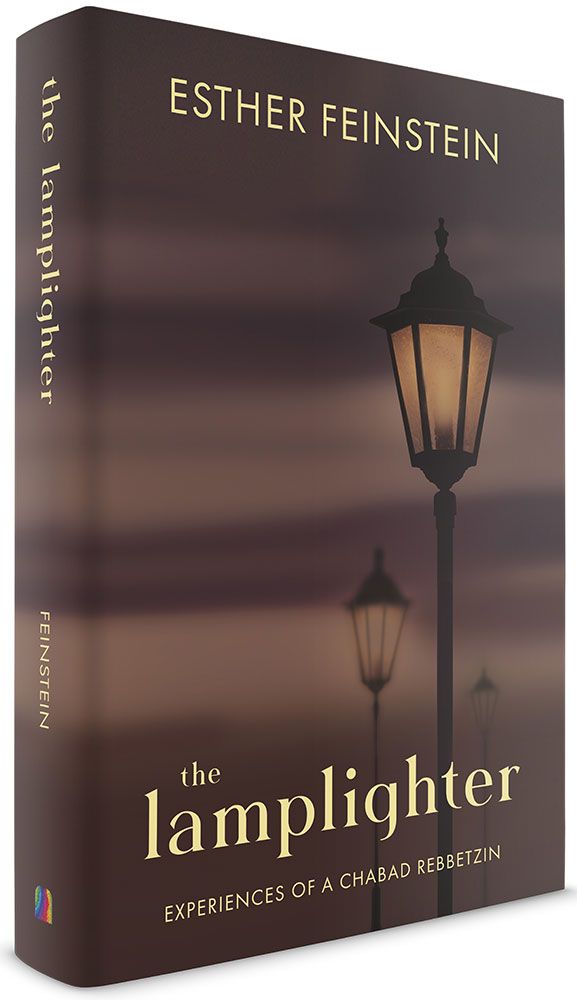 3D view of The Lamplighter by Esther Feinstein, hardcover edition