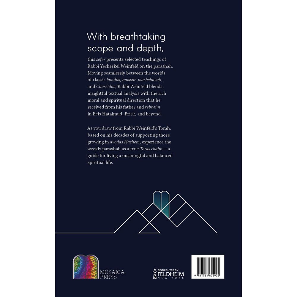 Back cover of Timely and Timeless, 2 Volume Set by Rabbi David Bogopulsky, with the summary and barcode