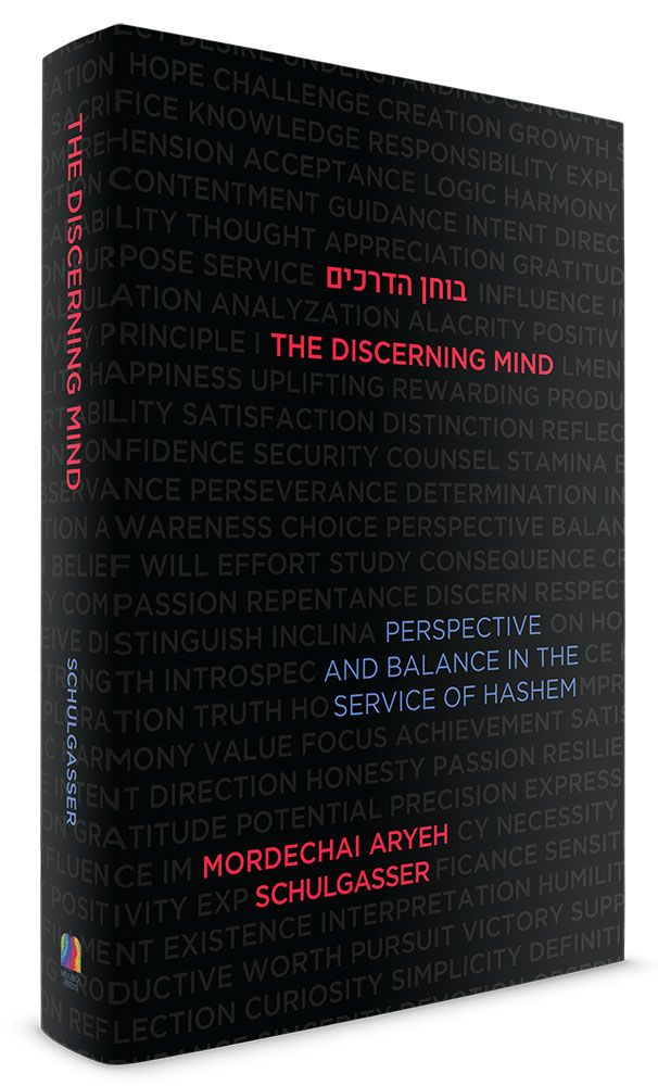 3D view of The Discerning Mind by Mordechai Aryeh Schulgasser, hardcover edition