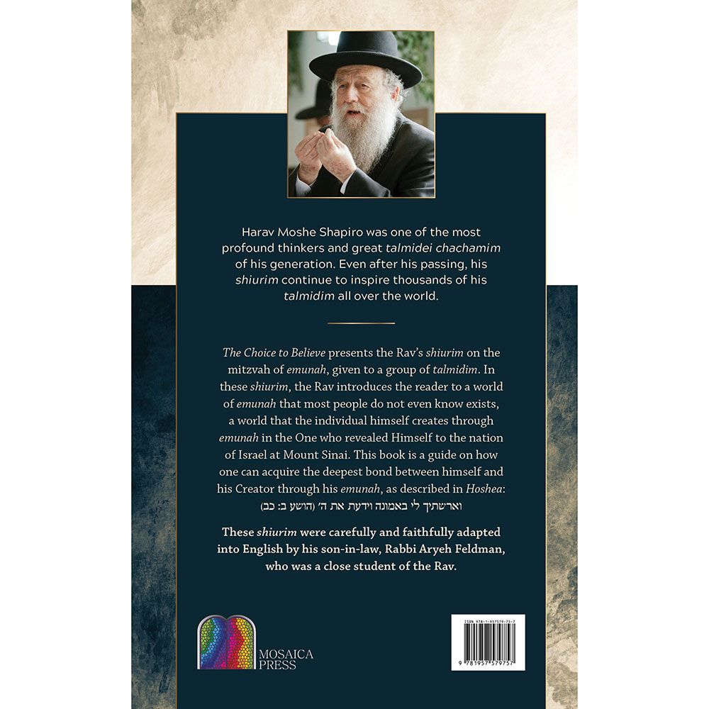 Back cover of The Choice to Believe by Rabbi Aryeh Feldman, with the summary and barcode