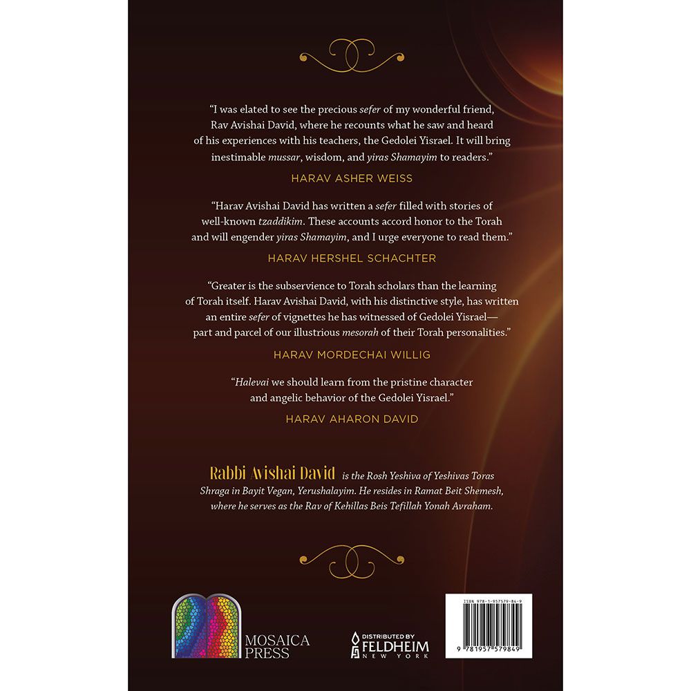Back cover of The Warmth and Radiance of Gedolei Yisroel by Rabbi Avishai David, with the summary and barcode