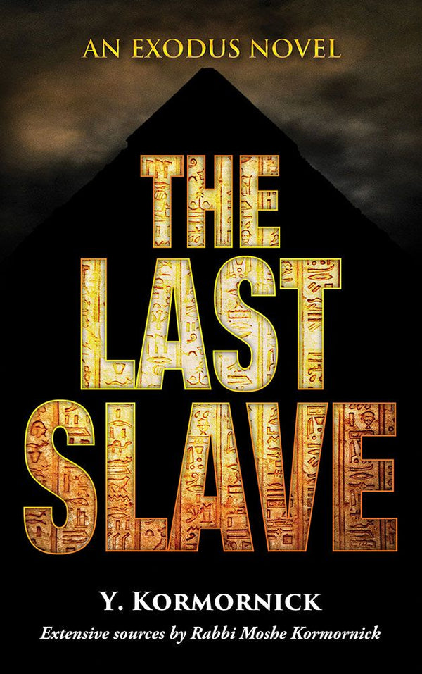 The Last Slave (hardcover)