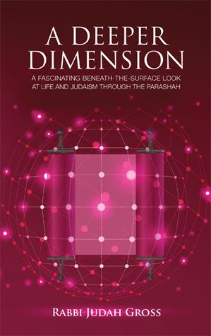 Cover of A Deeper Dimension by Rabbi Judah Gross, hardcover edition