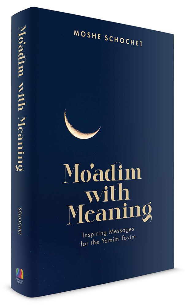 3D view of Moadim with Meaning by Rabbi Moshe Schochet, hardcover edition