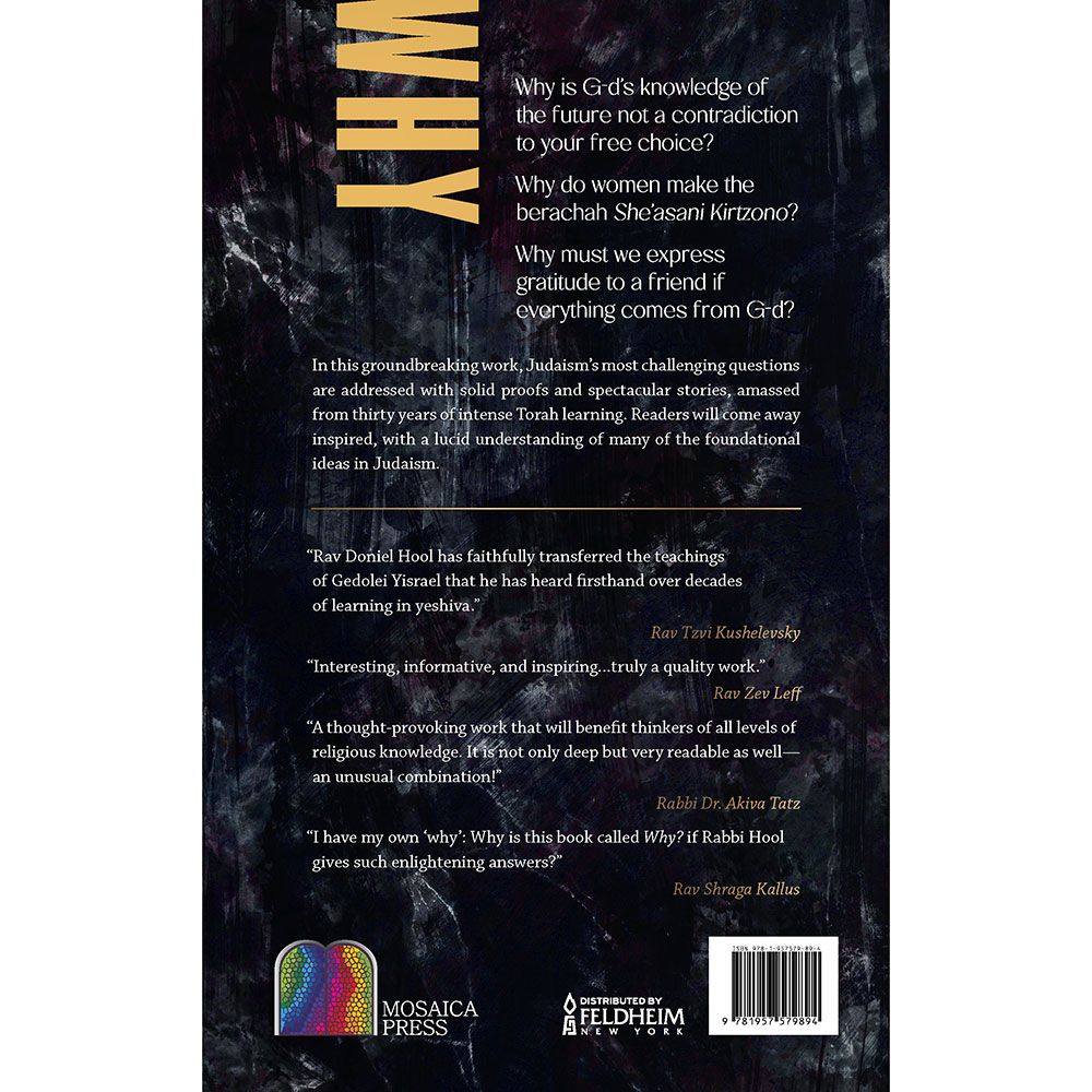 Back cover of Why? by Doniel Hool, with the summary and barcode