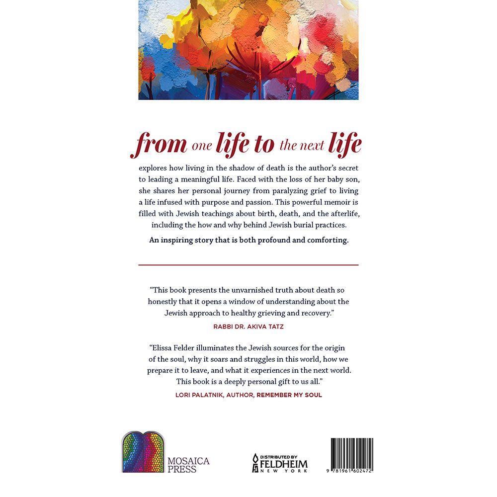 Back cover of From One Life to the Next Life by Elissa Felder, with the summary and barcode