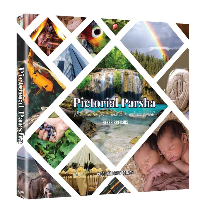Pictorial Parsha: Bereishis (hard) — front cover hardcover | Judaica Square Lakewood