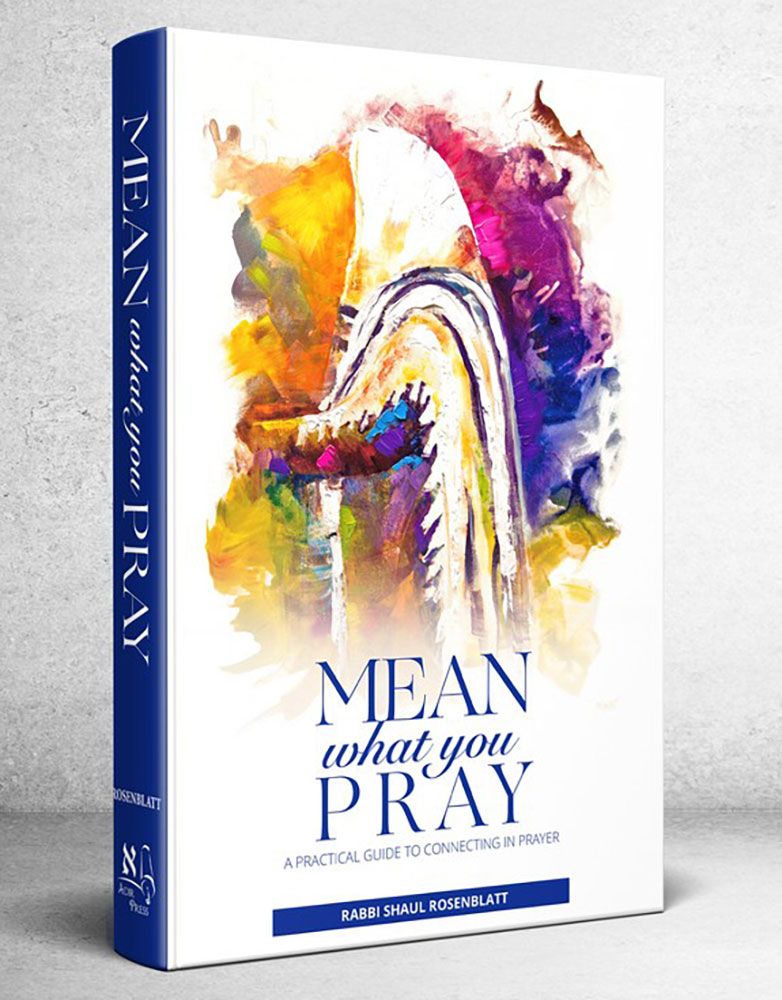 3D view of Mean What You Pray: A Practical Guide to Connecting in Prayer by Rabbi Shaul Rosenblatt, hardcover edition