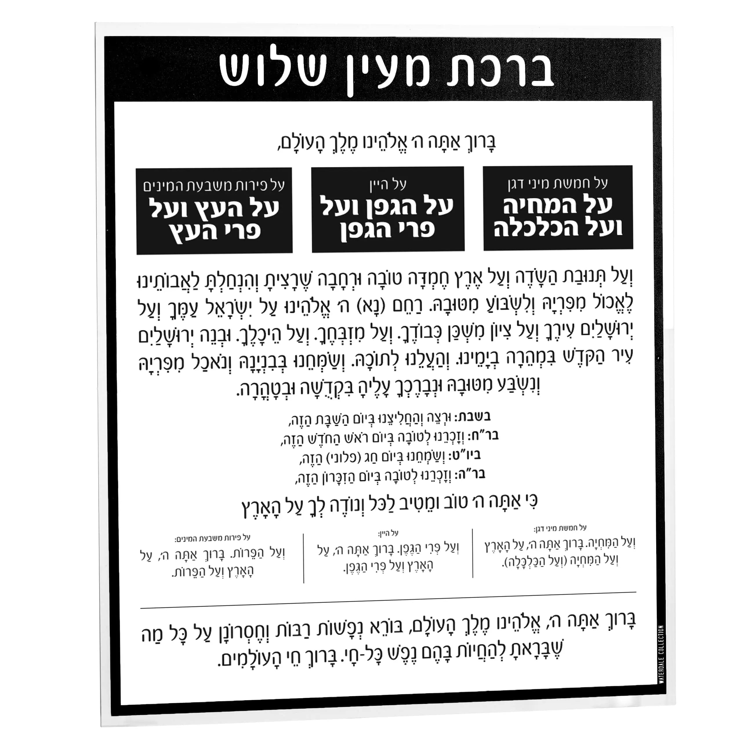 Al Hamichyah Card — detail view | Judaica Square Lakewood