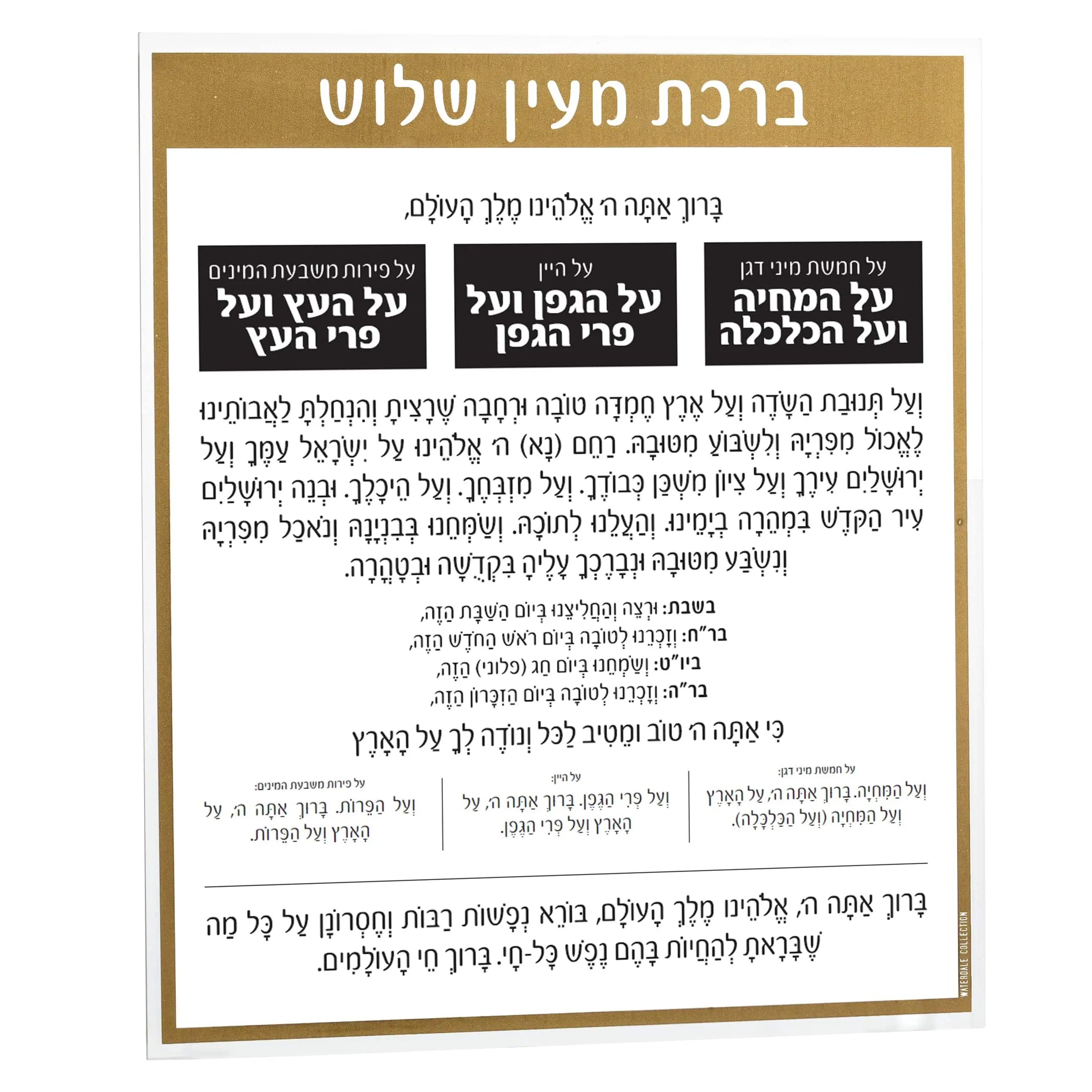 Al Hamichyah Card — hero shot | Judaica Square Lakewood