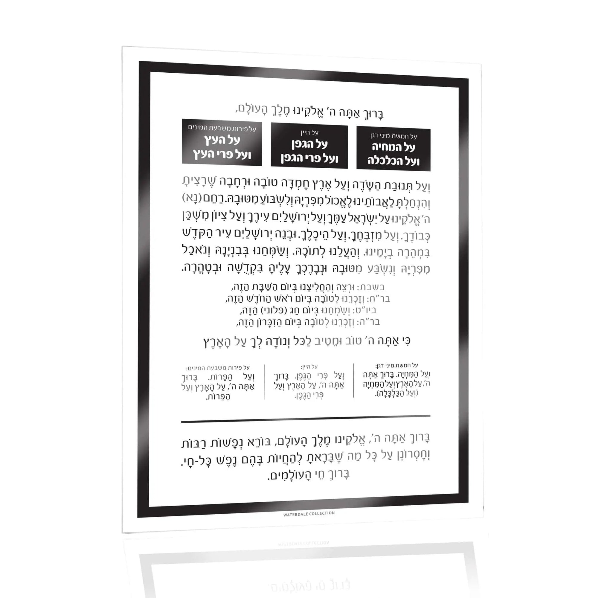 Al Hamichyah Magnet — hero shot | Judaica Square Lakewood