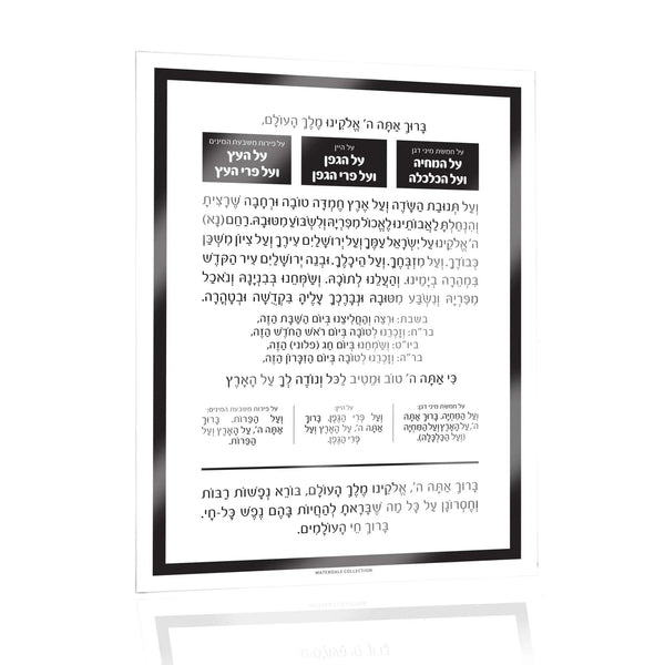 Al Hamichyah Magnet — hero shot | Judaica Square Lakewood