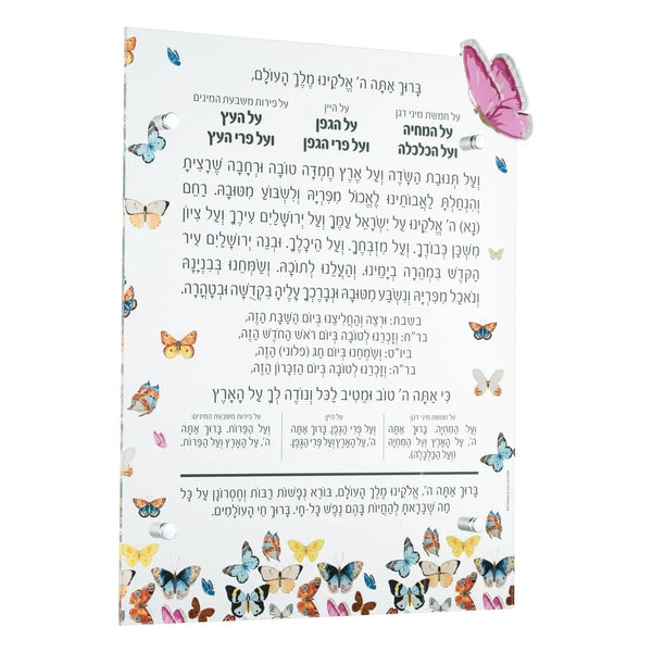 Butterfly Al Hamichyah | Judaica Square Lakewood