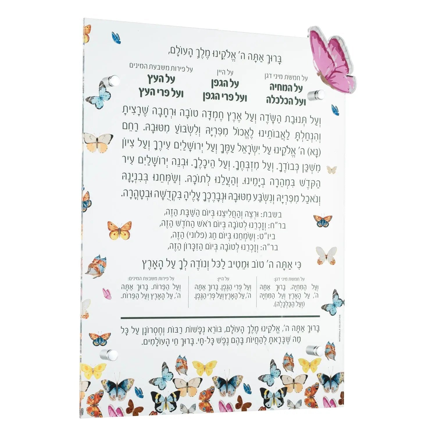 Butterfly Al Hamichyah | Judaica Square Lakewood