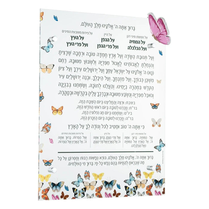 Butterfly Al Hamichyah — lucite Wall Art | Judaica Square Lakewood