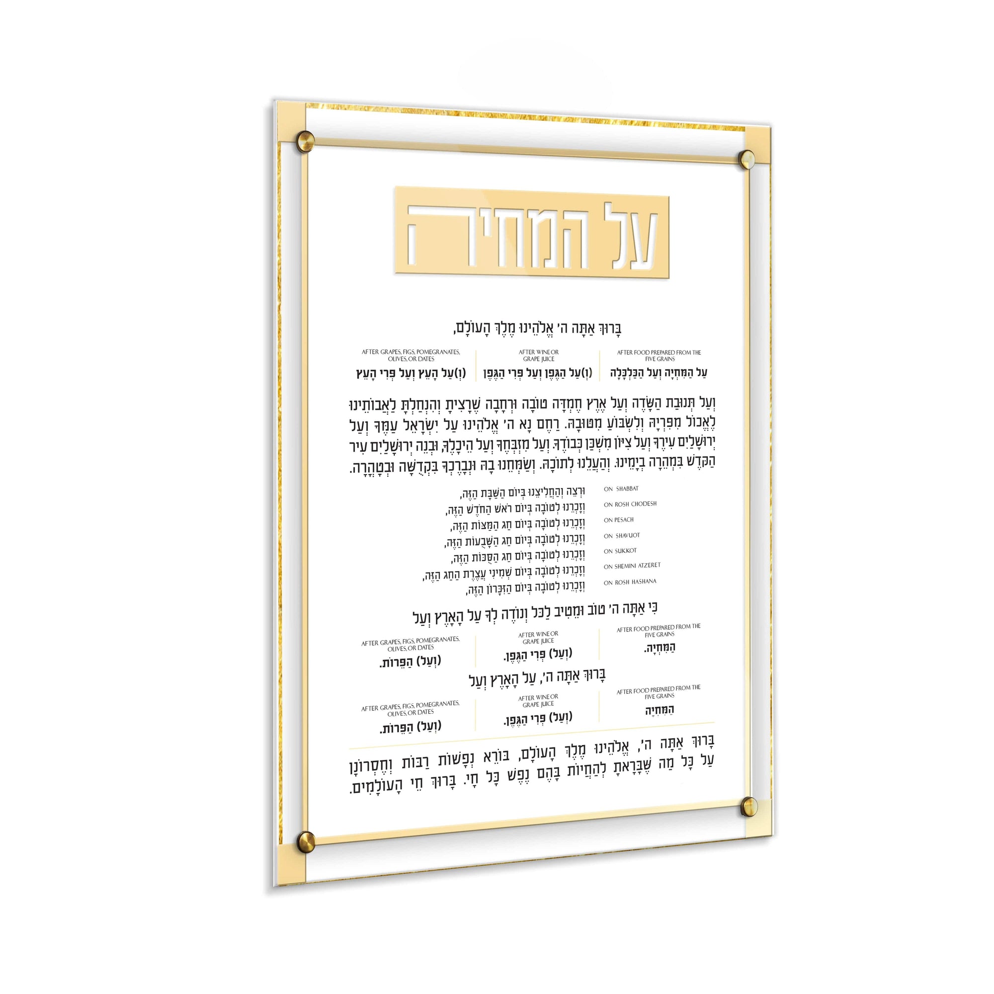 Classic 2.0 Al Hamichyah — reverse view | Judaica Square Lakewood