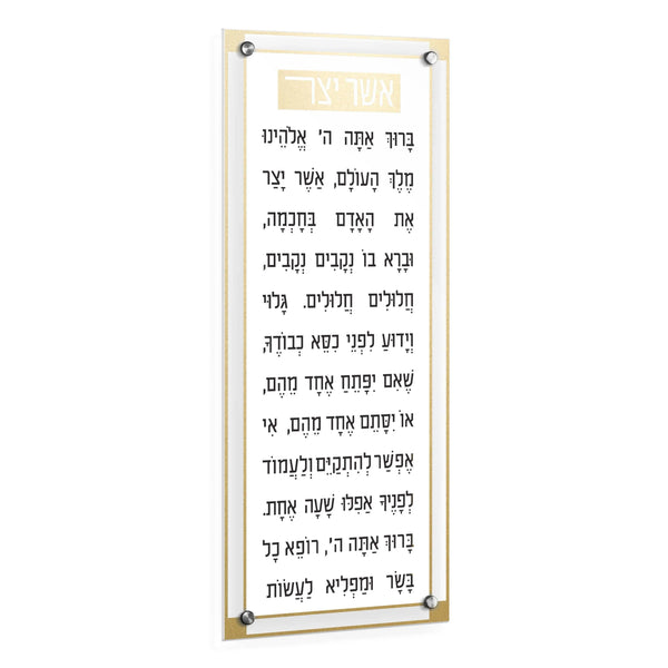 Basics Classic 2.0 Asher Yatzar | Judaica Square Lakewood