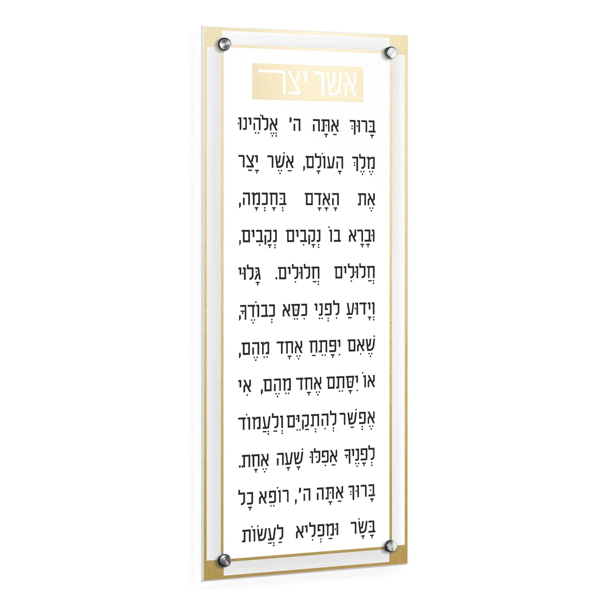 Basics Classic 2.0 Asher Yatzar | Judaica Square Lakewood