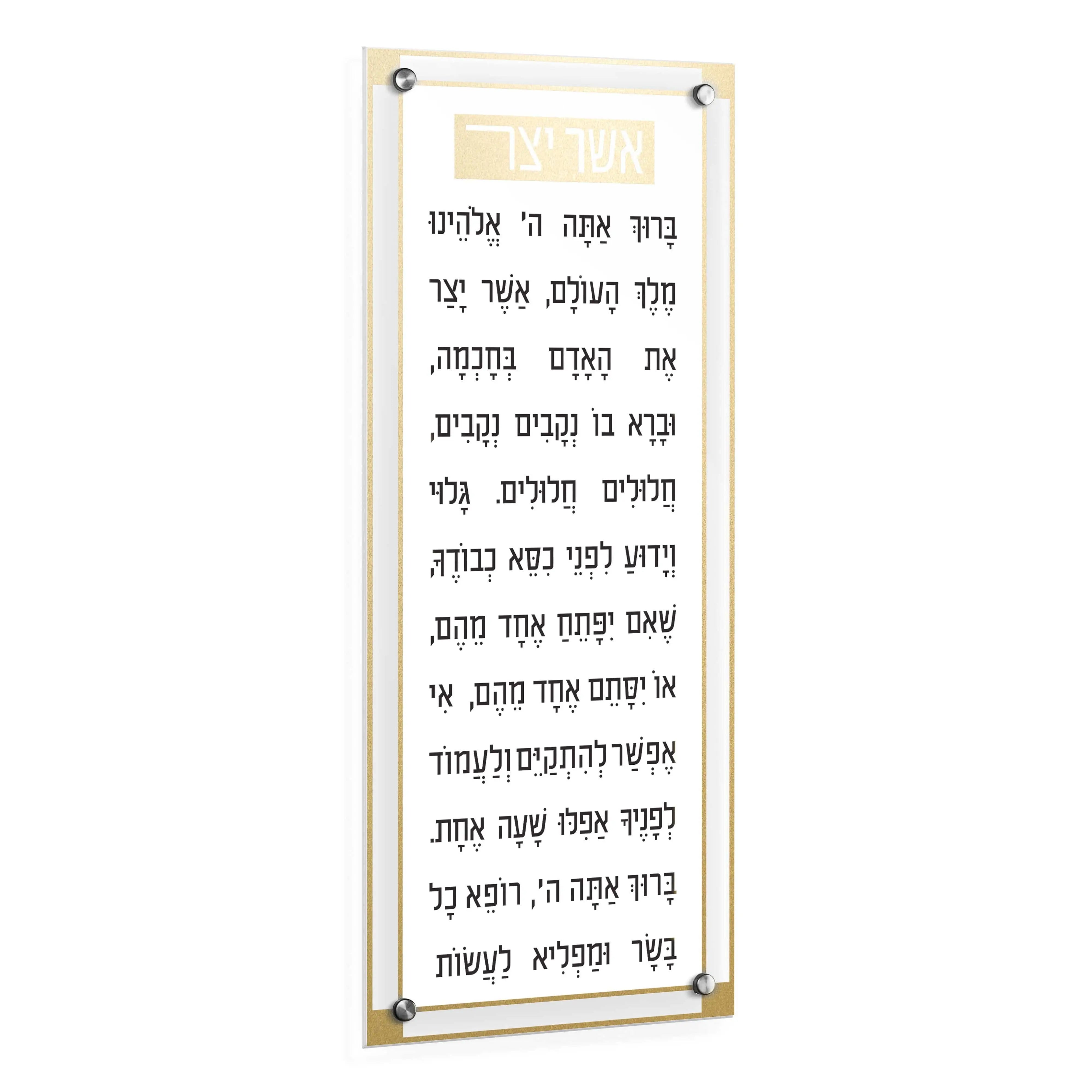 Basics Classic 2.0 Asher Yatzar | Judaica Square Lakewood