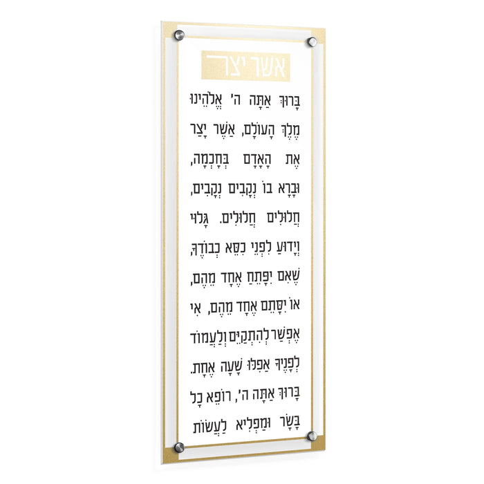 Classic 2.0 Basics Asher Yatzar — lucite Wall Art | Judaica Square Lakewood
