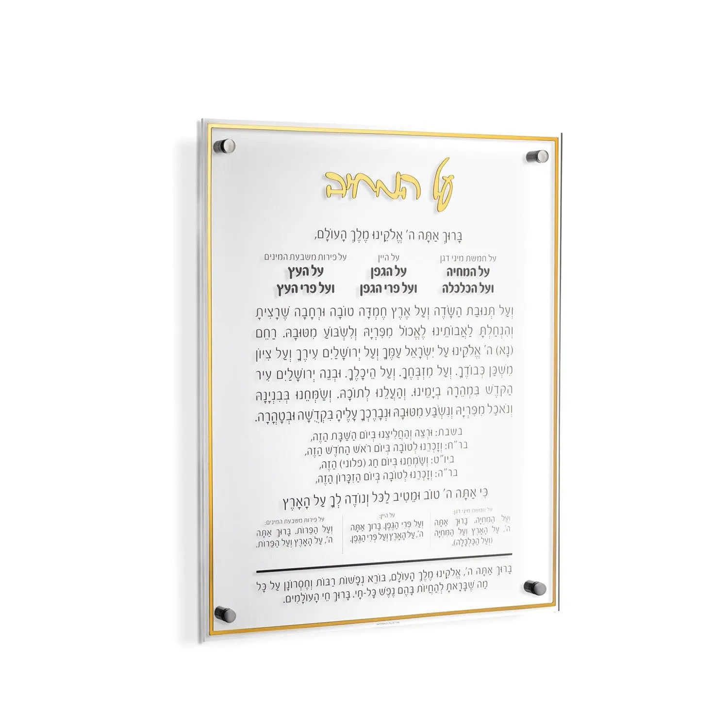 Classic Al Hamichyah - 12x16 — detail view | Judaica Square Lakewood