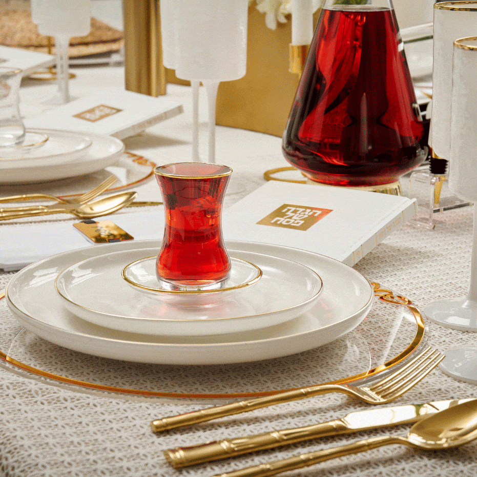 Classic Pesach Chargers — reverse view | Judaica Square Lakewood