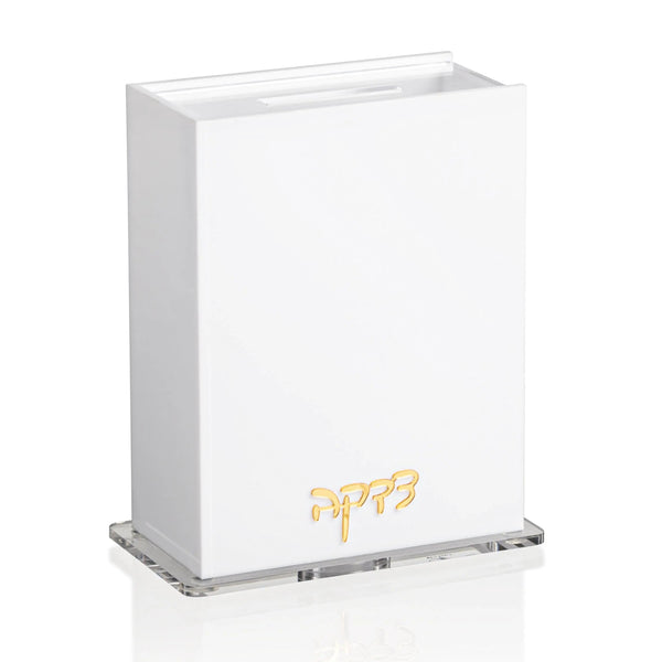 Classic Tzedakah Box — hero shot | Judaica Square Lakewood