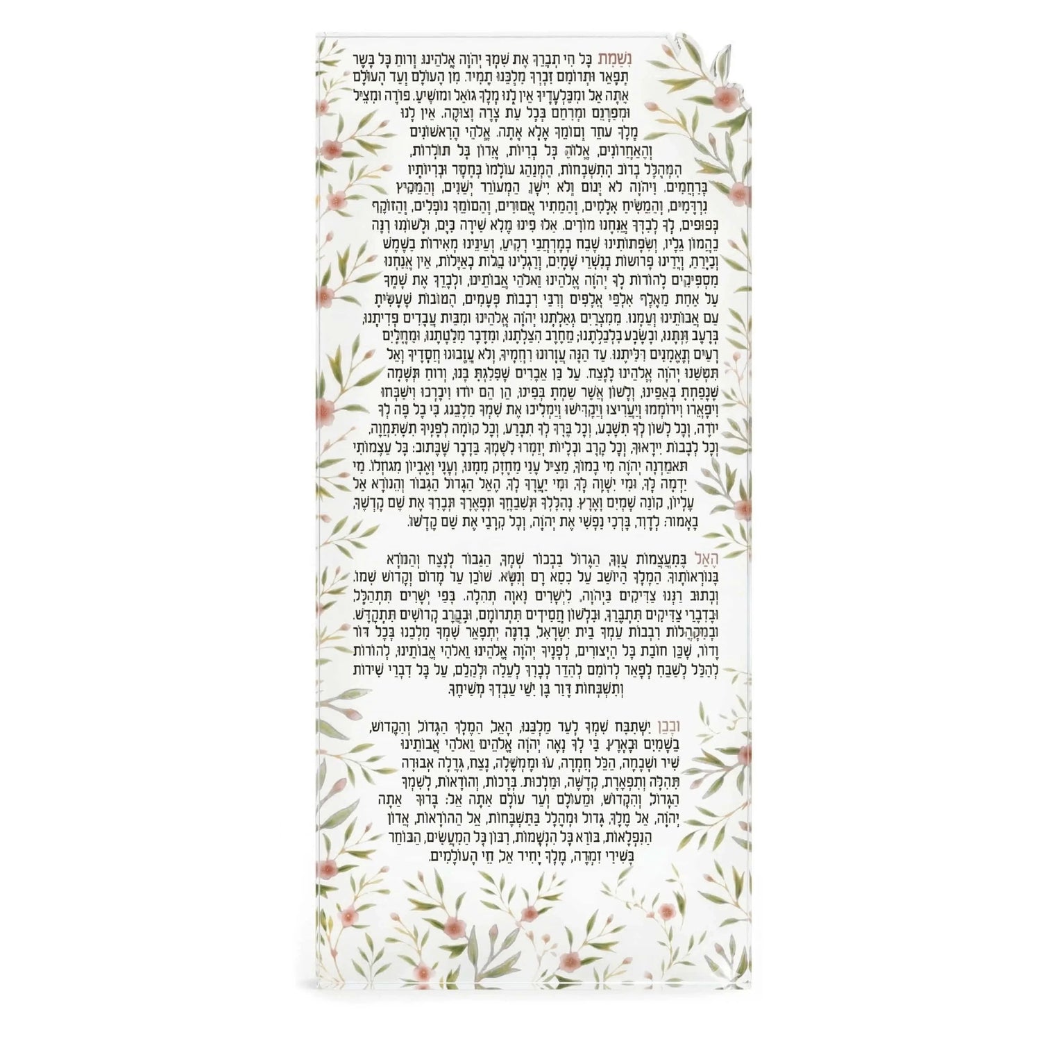 Frosted Floral Bird Nishmas Card — hero shot | Judaica Square Lakewood