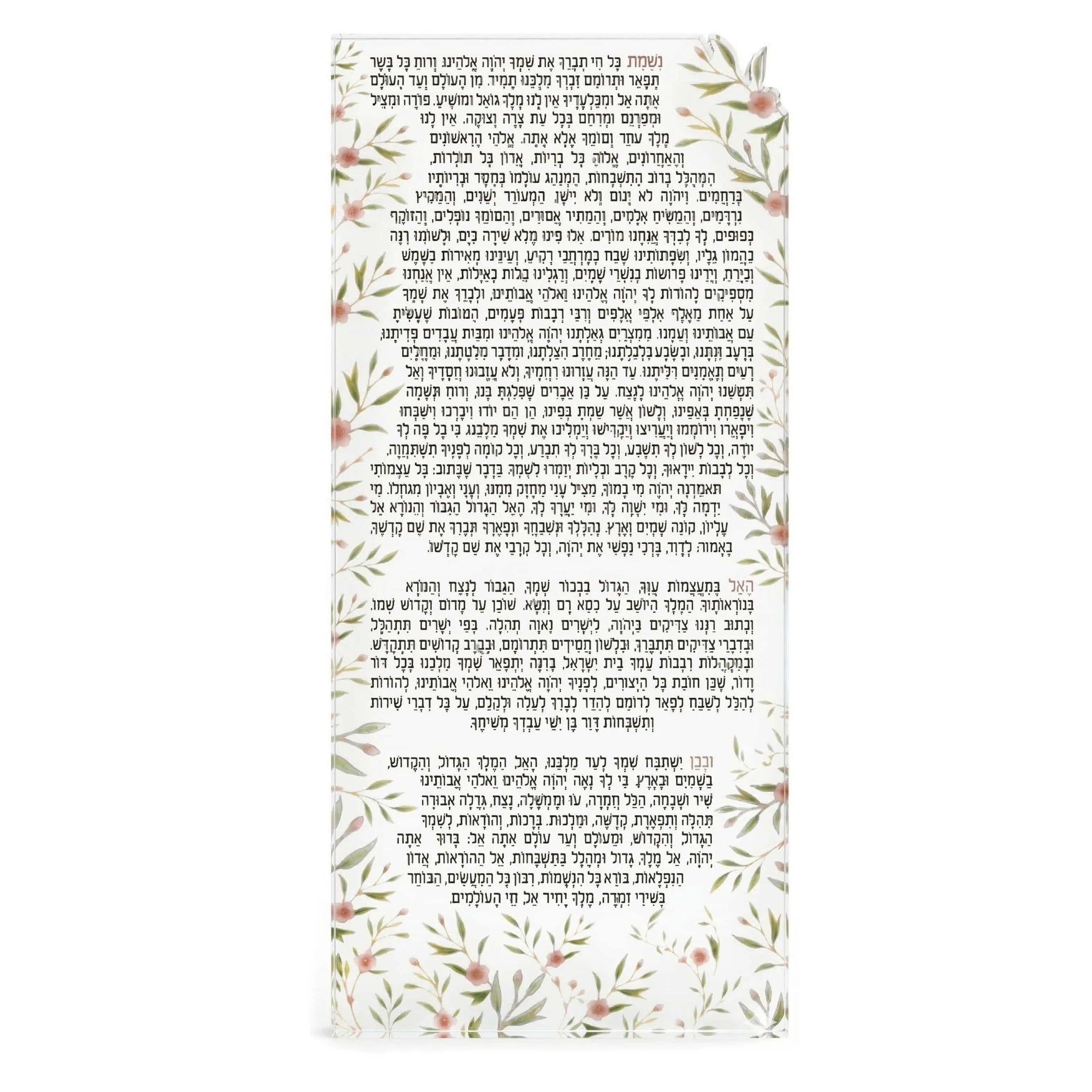 Frosted Floral Bird Nishmas Card — hero shot | Judaica Square Lakewood