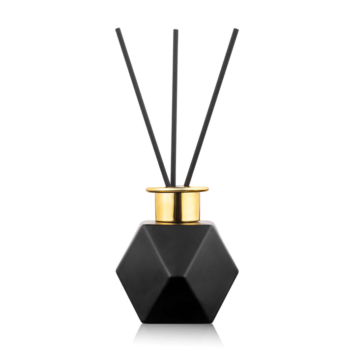 Geometric Diffuser — Diffuser