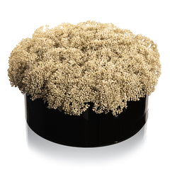 Greenery Round Vase Bencher Set