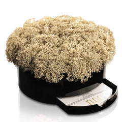 Greenery Round Vase Bencher Set