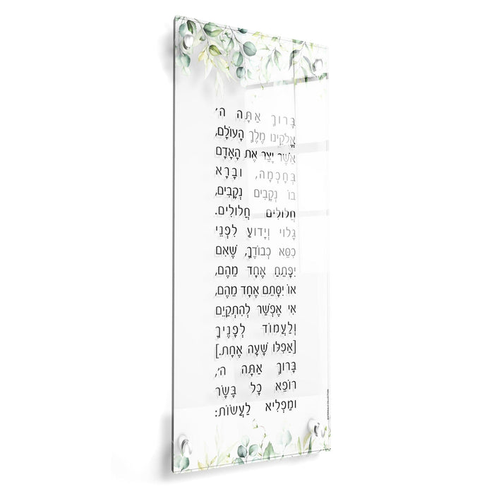 Leaf Asher Yatzar — lucite Wall Art | Judaica Square Lakewood