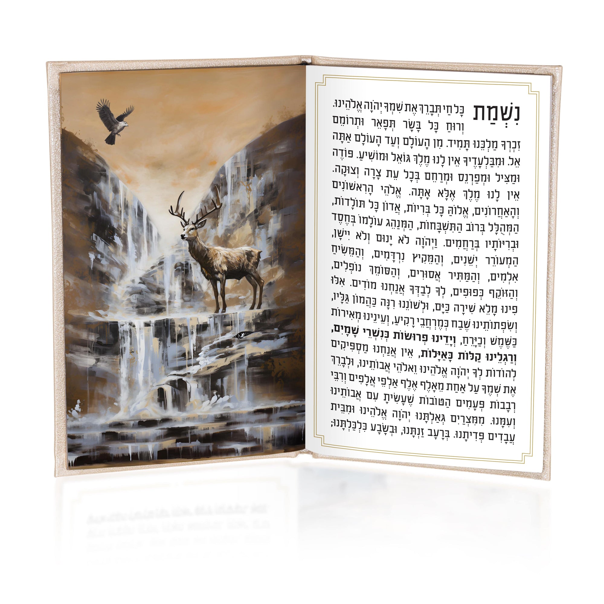 Leather Painted Nishmas Booklet — lifestyle shot | Judaica Square Lakewood