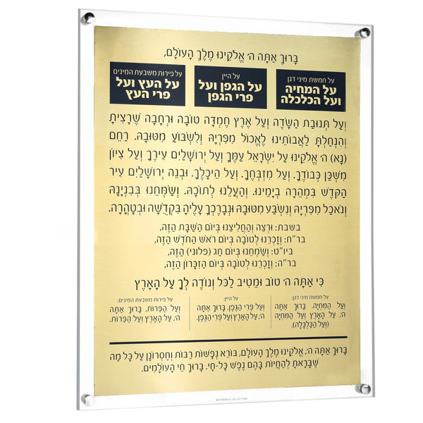 MetaLucite Al Hamichyah | Judaica Square Lakewood