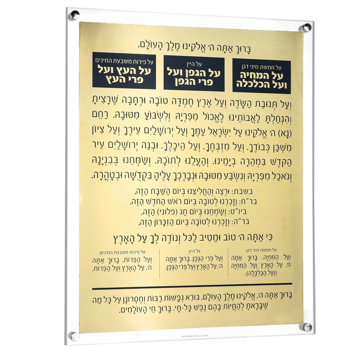 MetaLucite Al Hamichyah — Wall Art | Judaica Square Lakewood