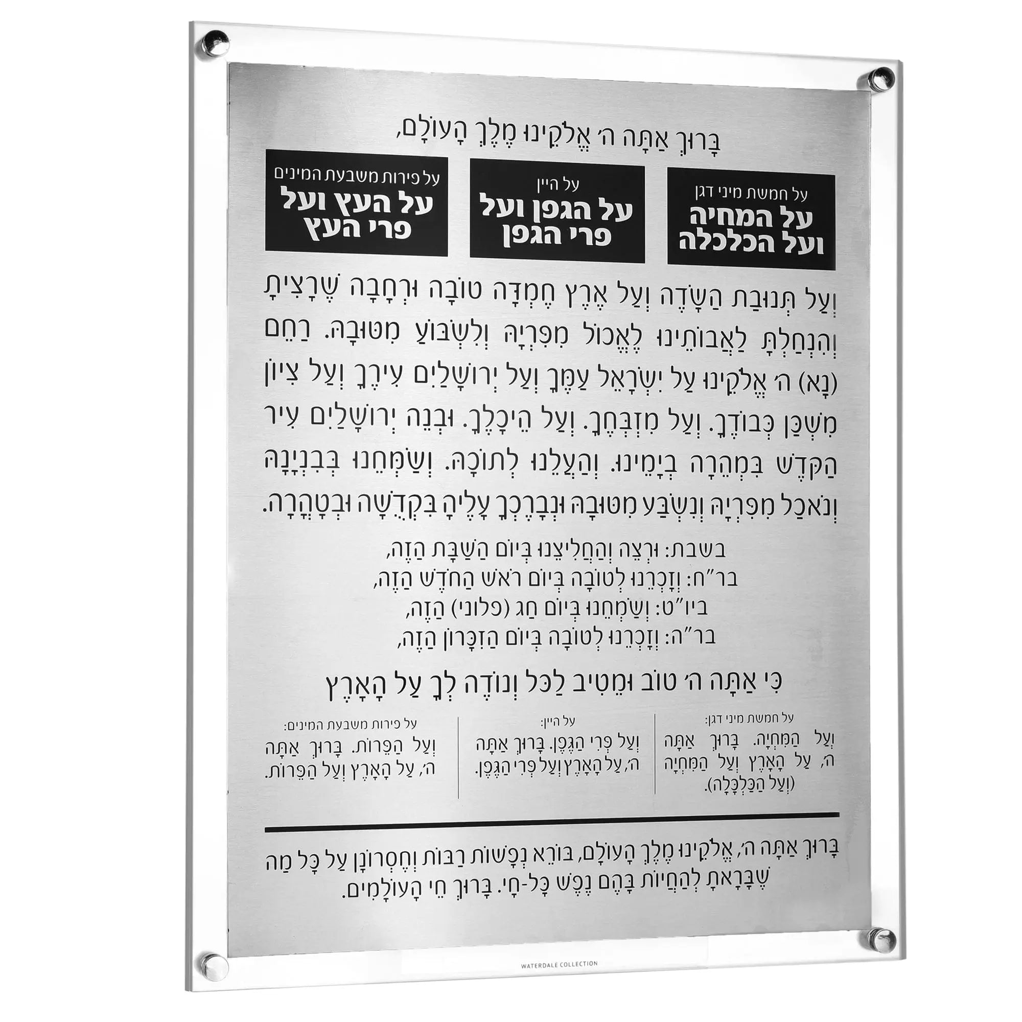 MetaLucite Al Hamichyah | Judaica Square Lakewood