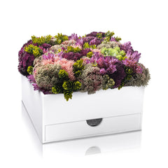 Mishloach Manos - Vase Bencher Set