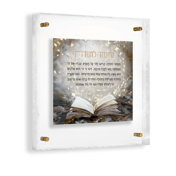 Mizmor Lesoda Painted Frame Wall Art — Lucite