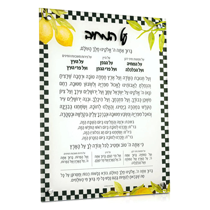 Onyx Lemona Al Hamichyah — lucite Wall Art | Judaica Square Lakewood