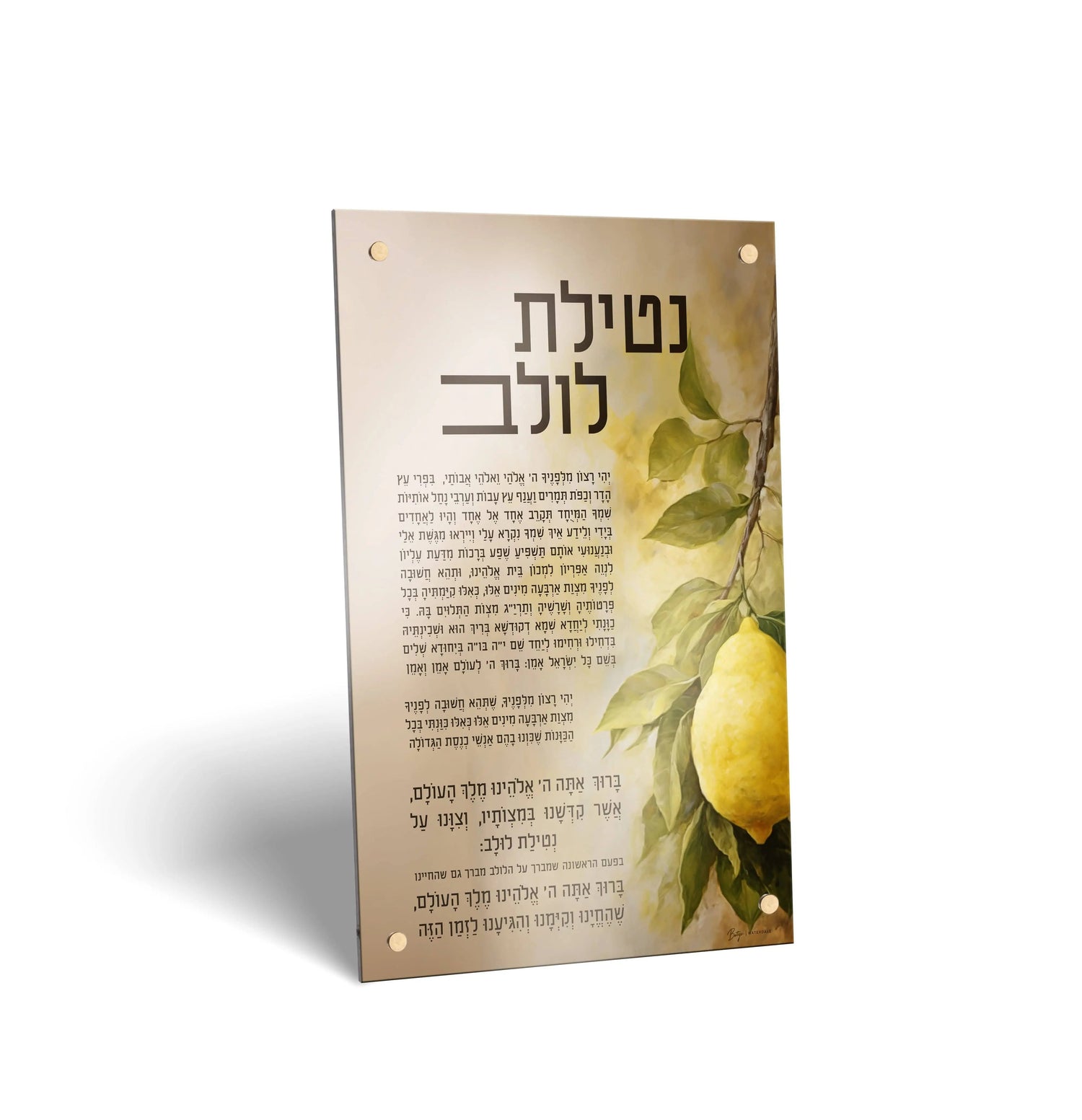 Painted by Batya Sukkah Decorations | Judaica Square Lakewood