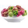 Succulent Pink White Flower Pot — Tabletop | Judaica Square Lakewood