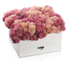 Pink Vase Bencher Set — lucite | Judaica Square Lakewood