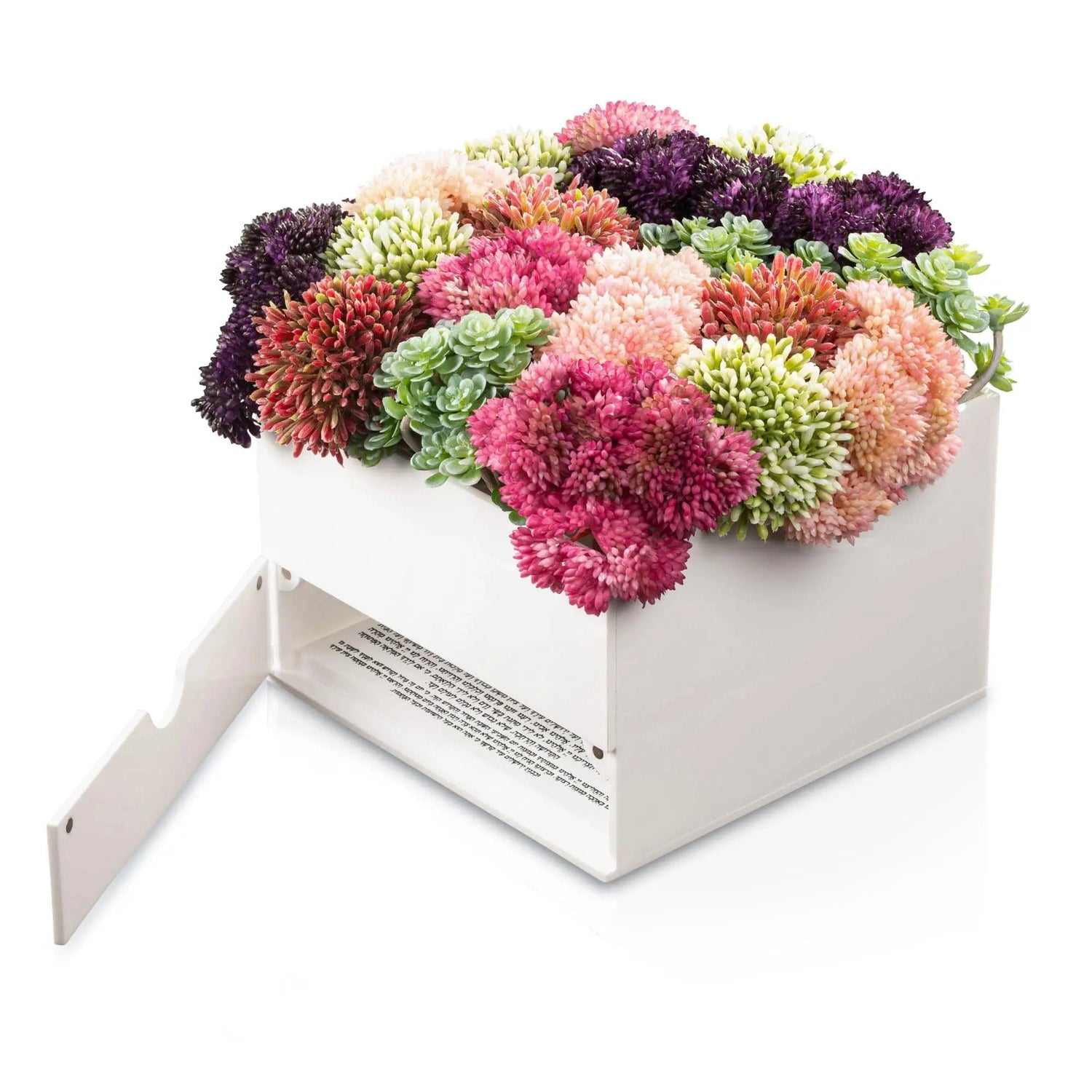 Succulent Bencher Set | Judaica Square Lakewood
