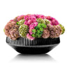 Succulent Black Flower Pot — Tabletop | Judaica Square Lakewood
