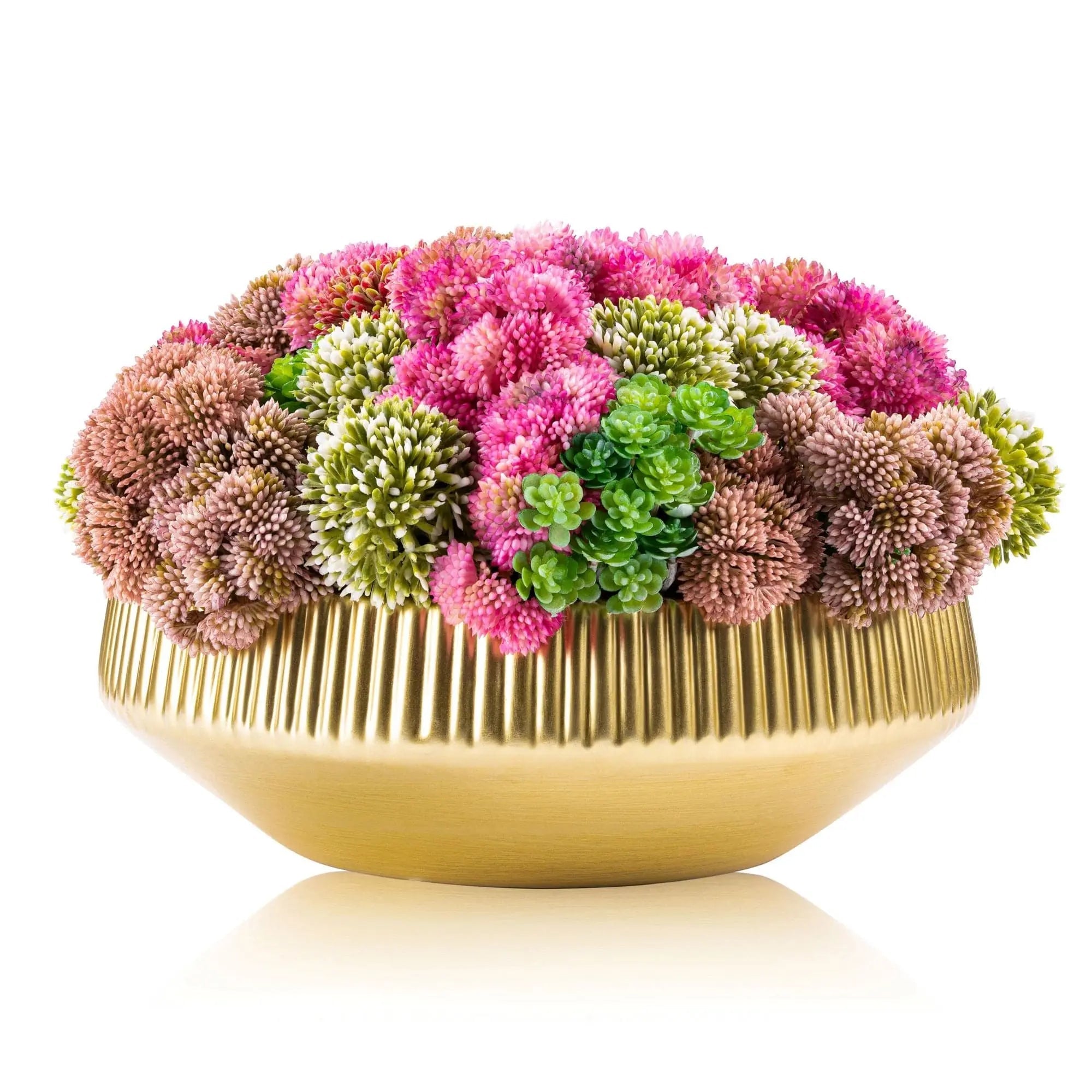 Succulent Pink Flower Pot | Judaica Square Lakewood