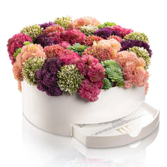 Succulent Pink Round Vase Bencher Set