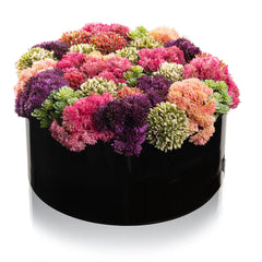 Succulent Pink Round Vase Bencher Set