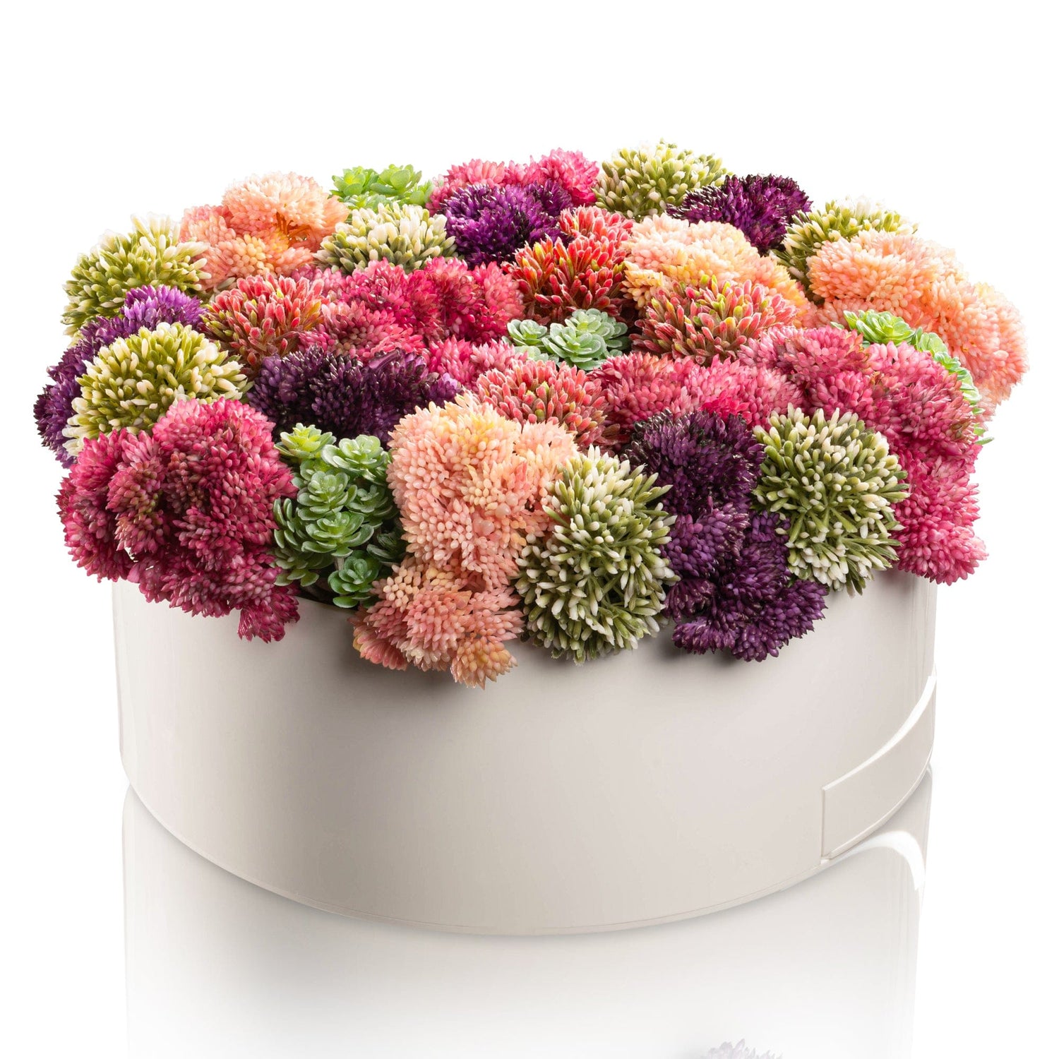 Succulent Pink Round Vase Bencher Set | Judaica Square Lakewood