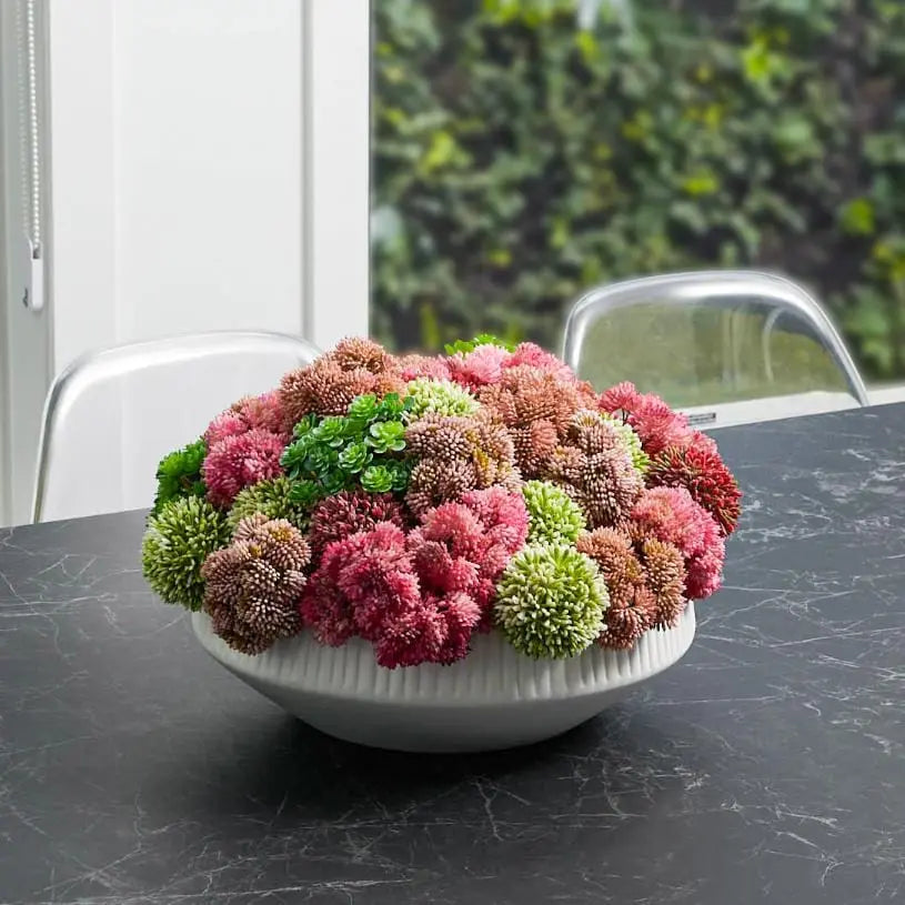 Succulent Pink White Flower Pot | Judaica Square Lakewood